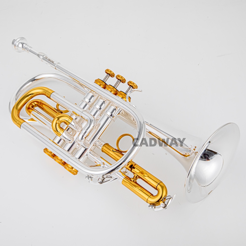 Musical Instrument Cornet - 2026 بوق كورنت بيه (Bb) عالي