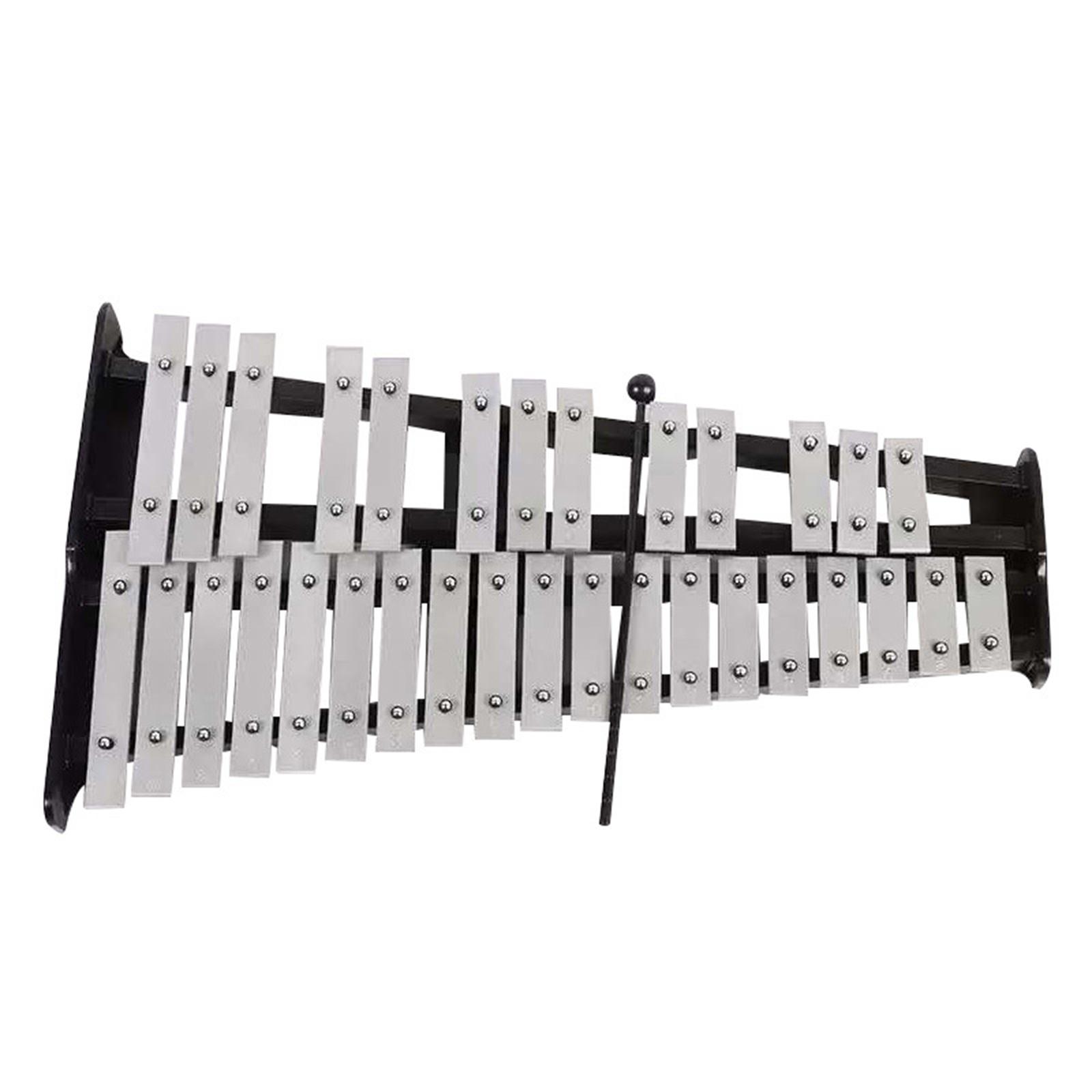 آلة إكسيلفون محمولة بـ 32 نغمة - مراجعة Musical Instrument Mallet وسعره