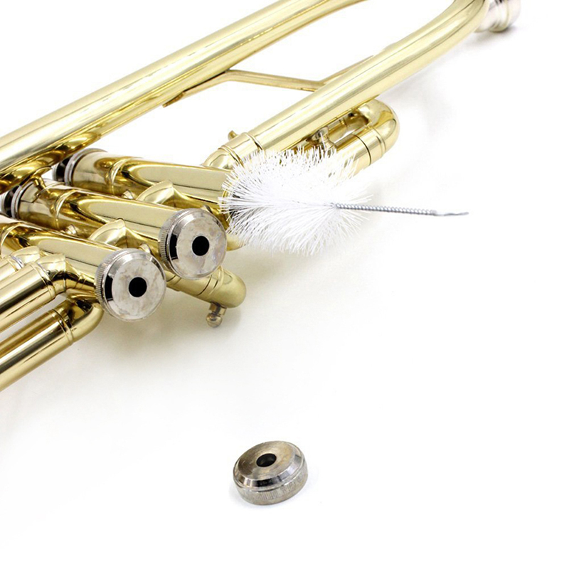طقم تنظيف البوق، مجموعة واحدة، - مراجعة Musical Instrument Cornet وسعره