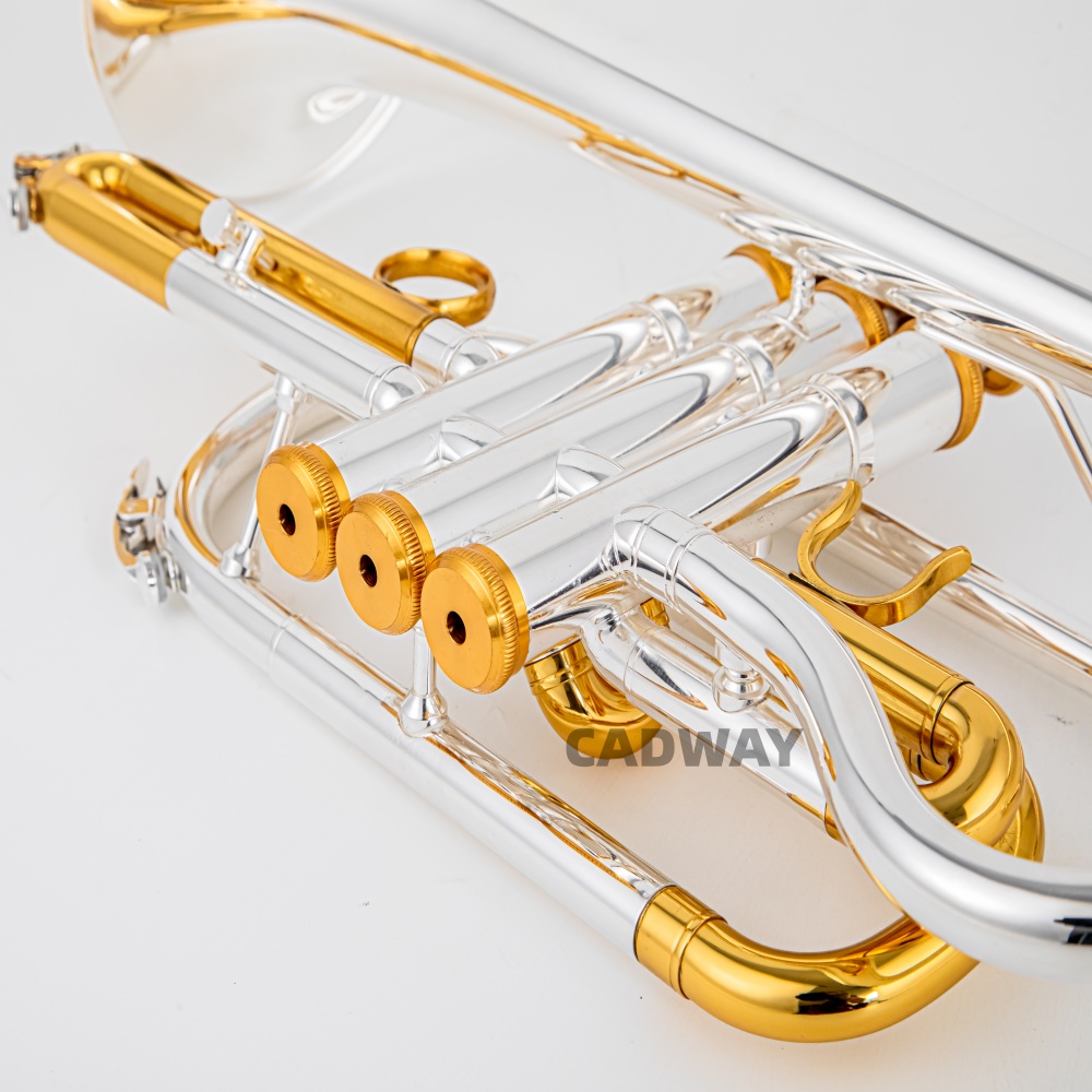 2026 بوق كورنت بيه (Bb) عالي ا - مراجعة Musical Instrument Cornet وسعره