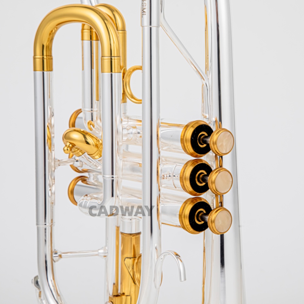 2026 بوق كورنت بيه (Bb) عالي ا - مراجعة Musical Instrument Cornet وسعره