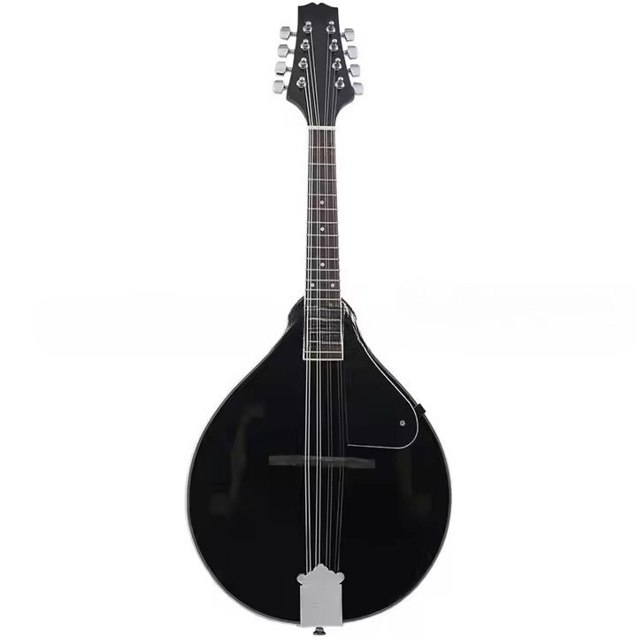 آلة موسيقية تبتية تقليدية: مان - مراجعة Musical Instrument Mandolin وسعره