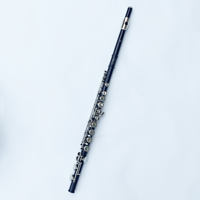اليابان 212 الأسود 16 ثقوب الن - مراجعة Musical Instrument Japan وسعره