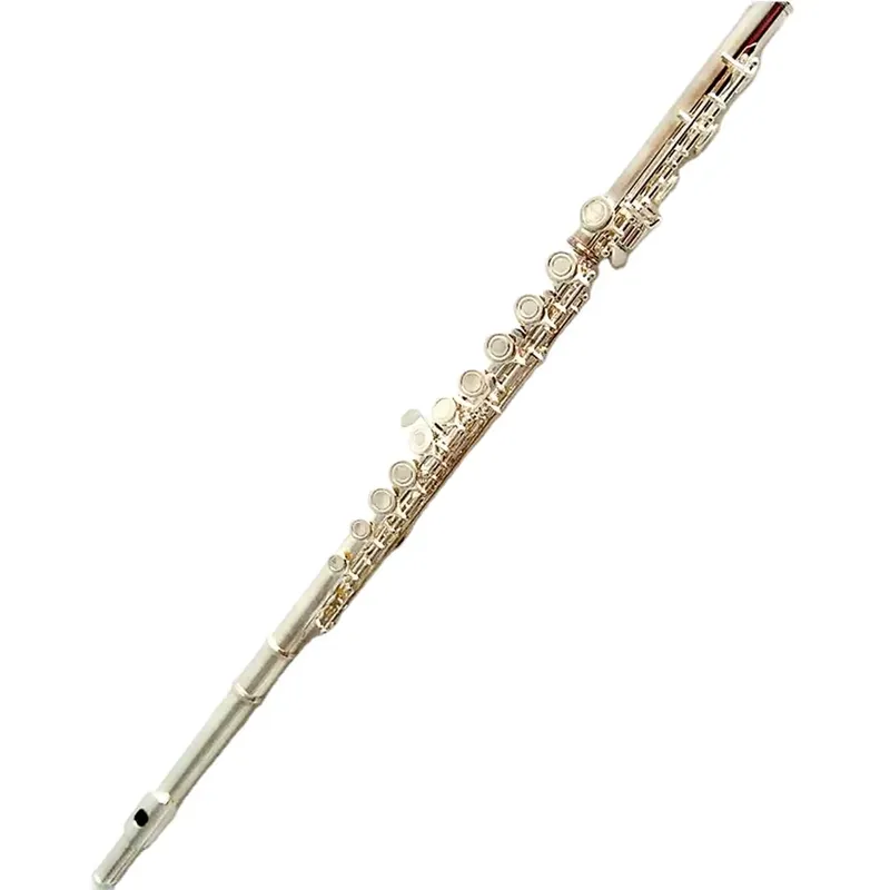 آلة فلوت فضية مطلية بـ 16 أو 1 - مراجعة Musical Instrument In Orchestra وسعره